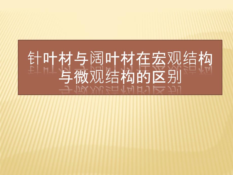 针叶材与阔叶材在宏观与微观结构的区别_第1页