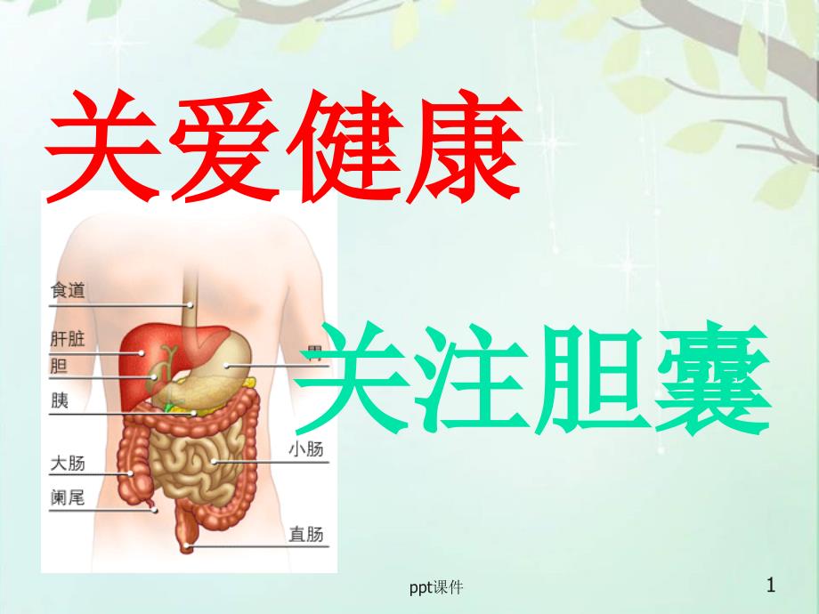 关注胆囊饮食指导课件_第1页