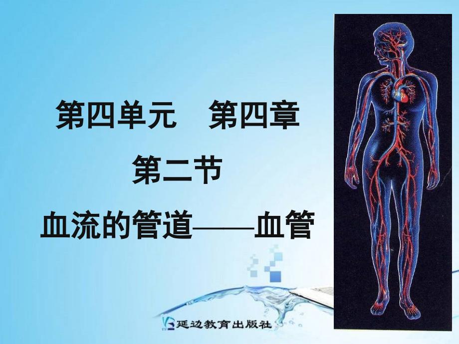 人教版第四章第二节血流的管道——血管课件_第1页