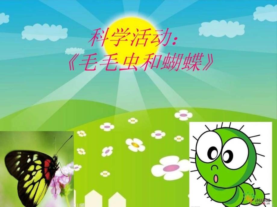 中班科学活动毛毛虫和蝴蝶_第1页