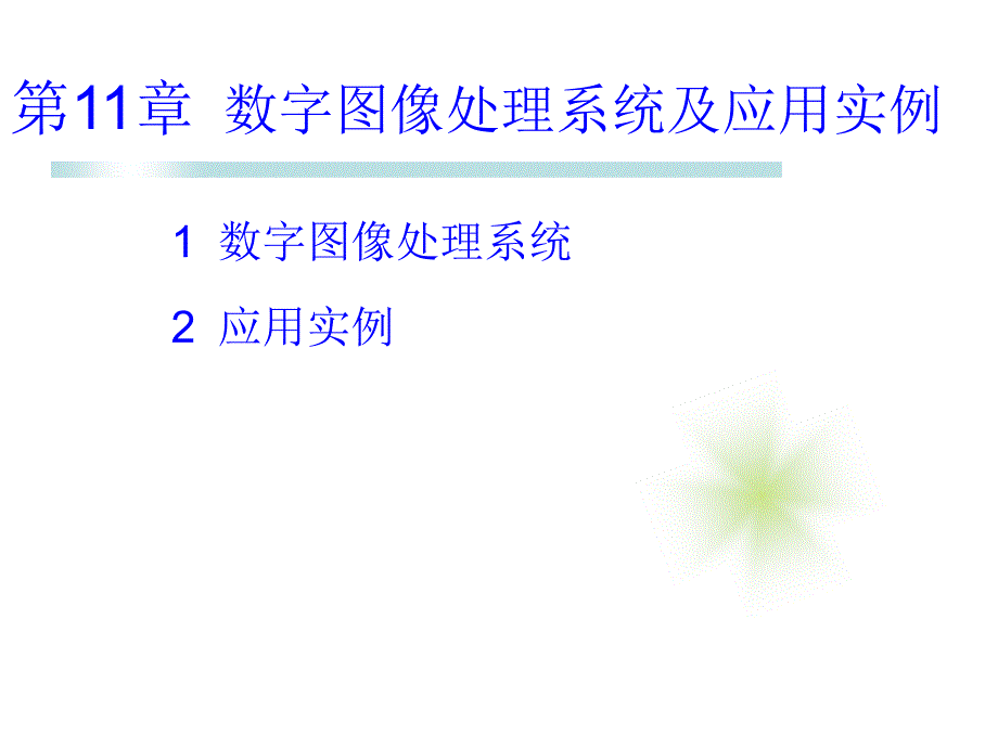 数字图像处理系统及应用实例_第1页