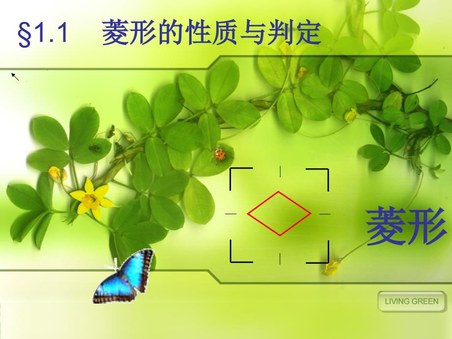 新北师大版九年级数学上册ppt_第1页