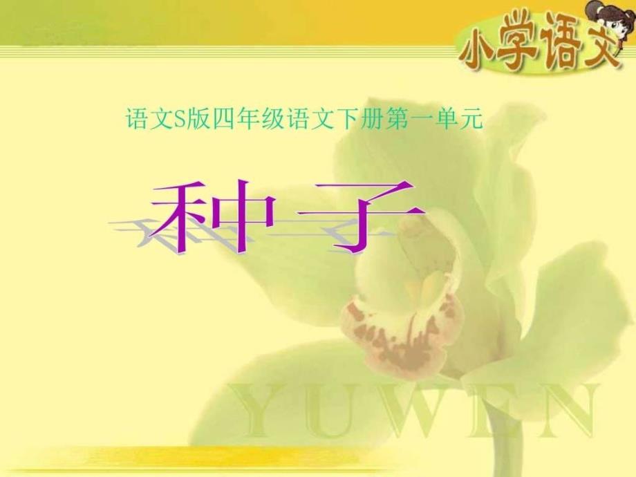 《种子》课件(语文S版四年级下册课件)_第1页