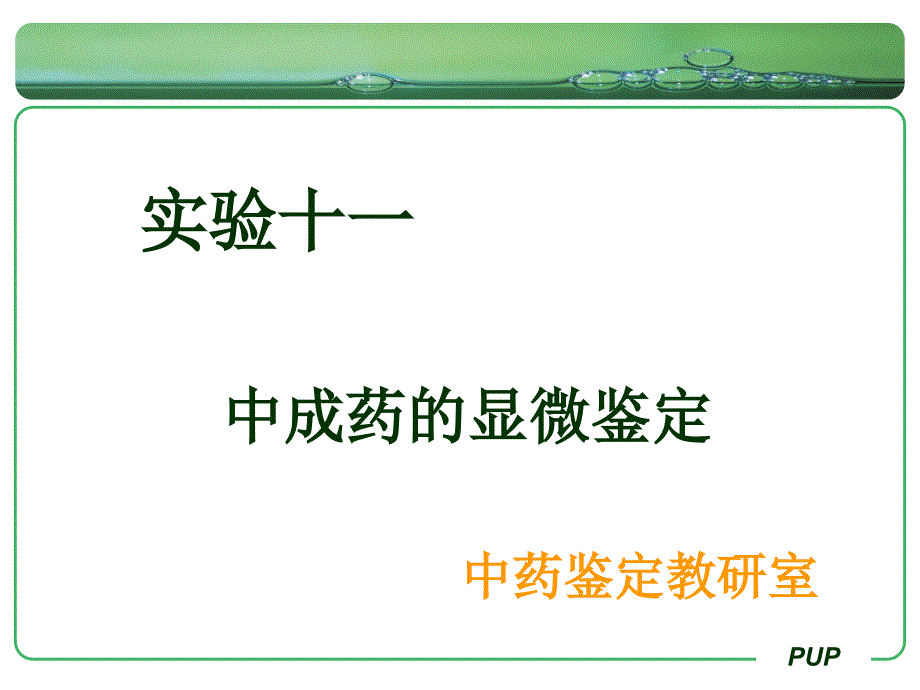 《中药鉴定学期末复习》实验十一中成药的显微鉴定_第1页