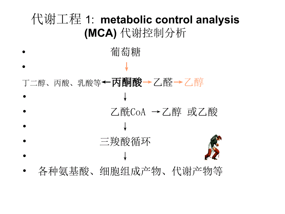 发酵机制-mcah和mfa23-24节_第1页