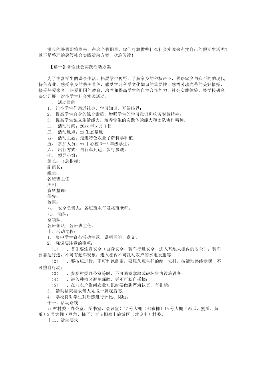 暑假社会实践活动方案3篇_第1页