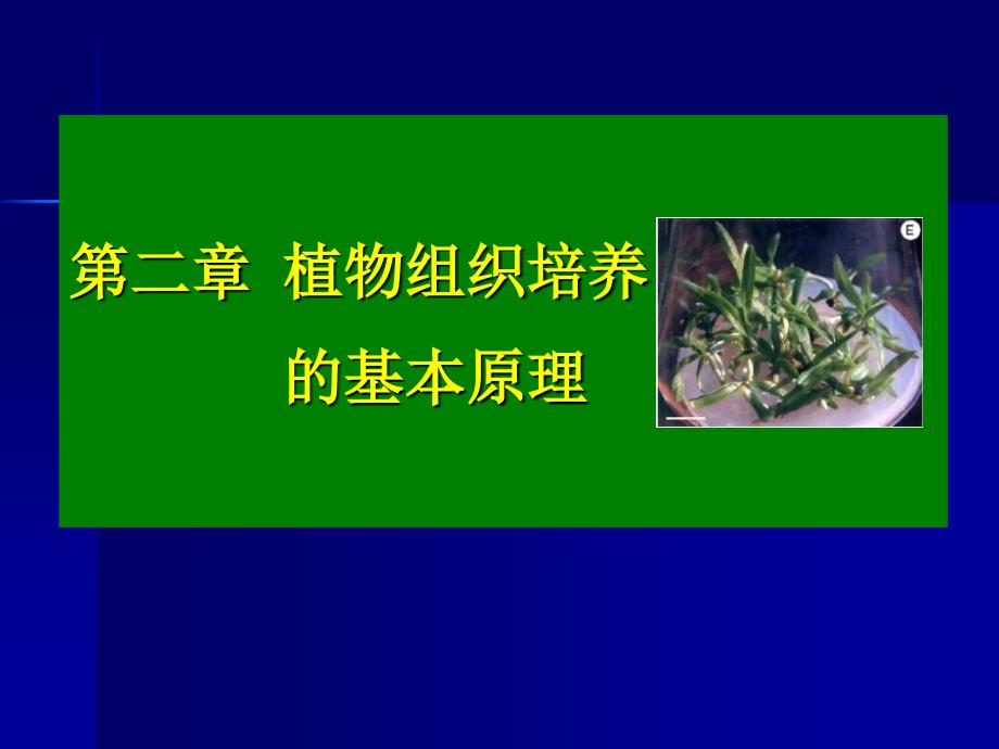 植物组织培养具体原理_第1页