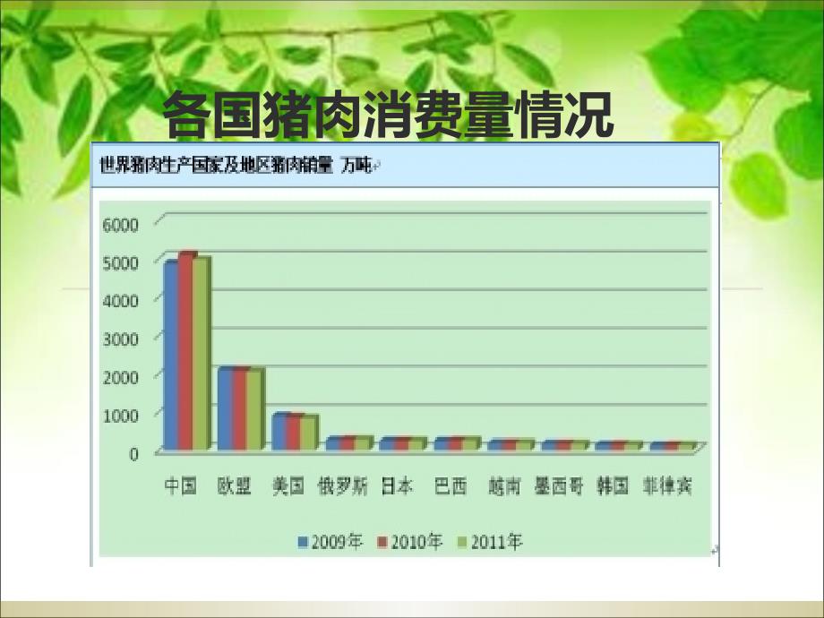 各国猪肉消费量情_第1页