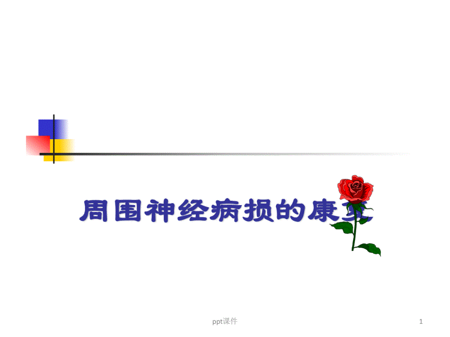 周围神经病损的康复--课件_第1页