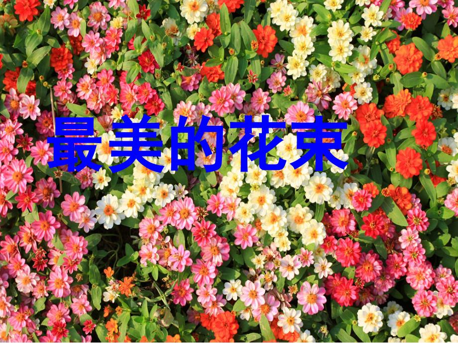 最美的花束(lzj)_第1页