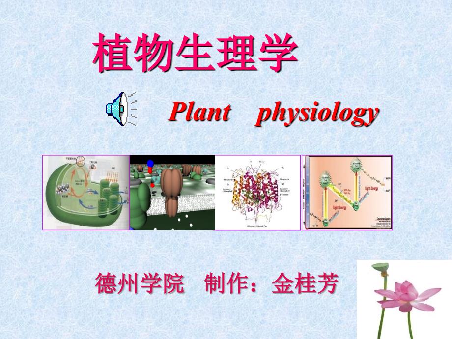 植物生理学之成花_第1页