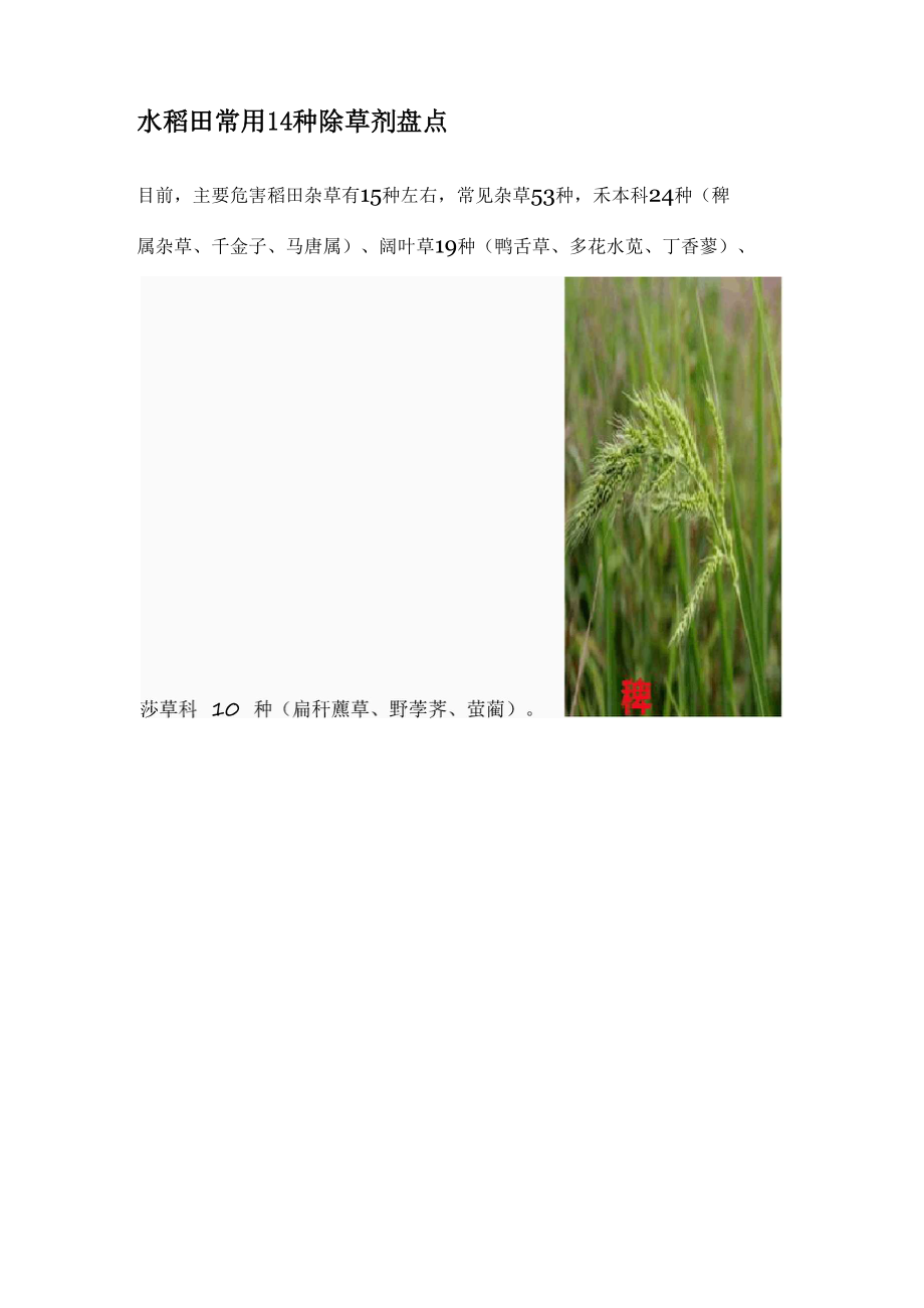水稻田常用14种除草剂盘点_第1页