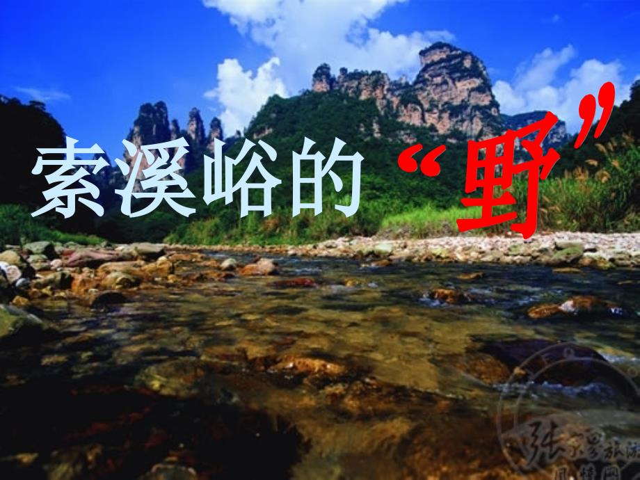 教育专题：索溪峪的野_第1页