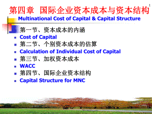 第四章-国际企业资本成本与资本结构1-ppt课件