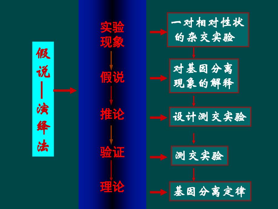 第2节----孟德尔的豌豆杂交实验ppt课件_第1页