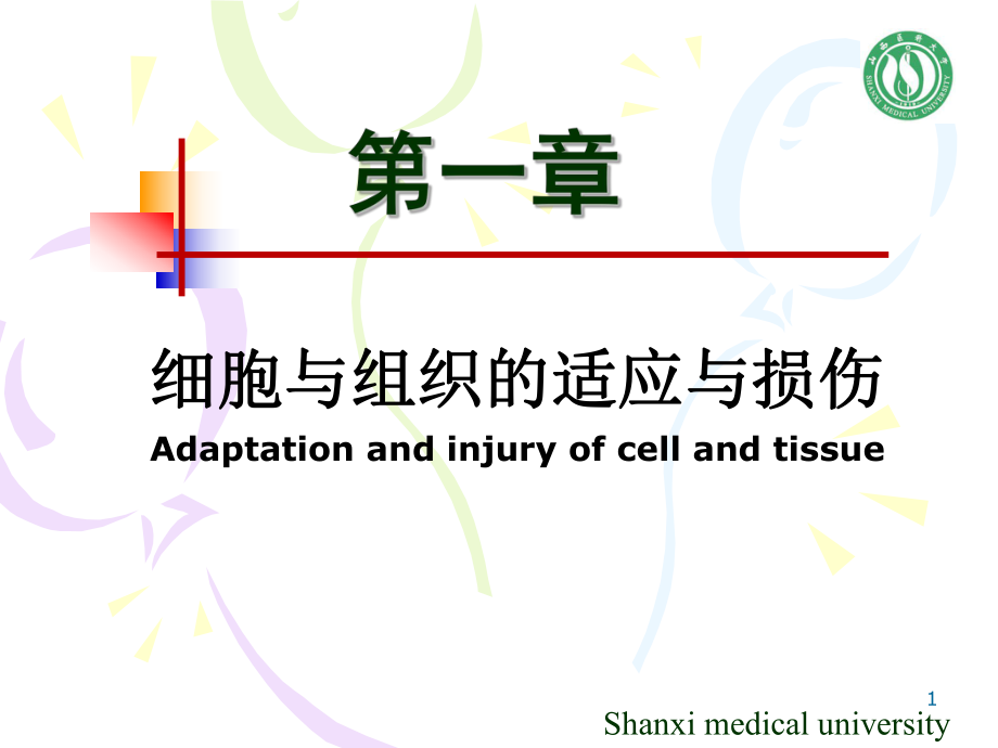 病理学课件：第一章 细胞与组织的适应与损伤_第1页
