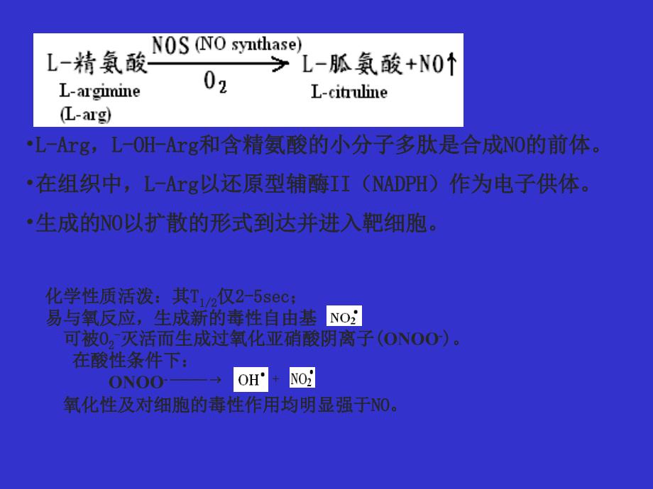 氧化氮与心血管疾病课件_第1页