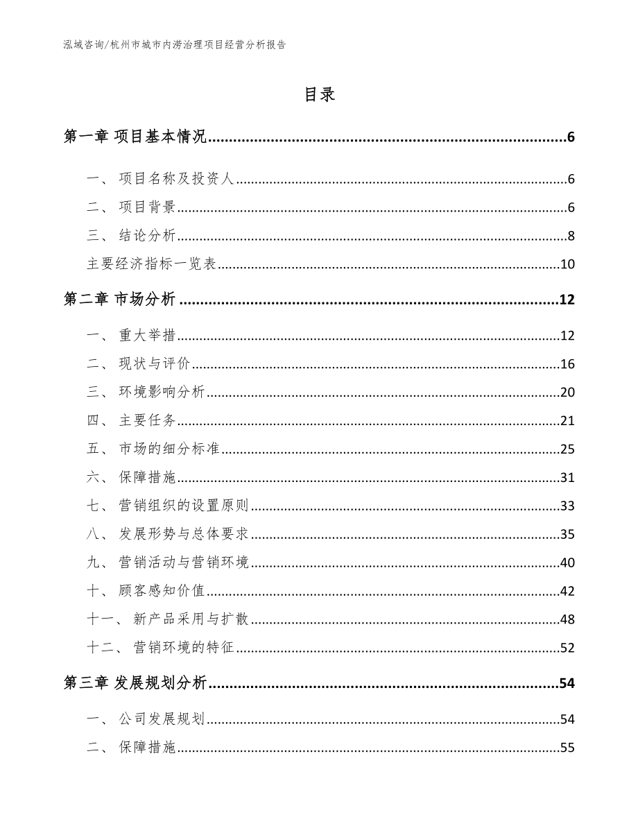 杭州市城市内涝治理项目经营分析报告（模板）_第1页