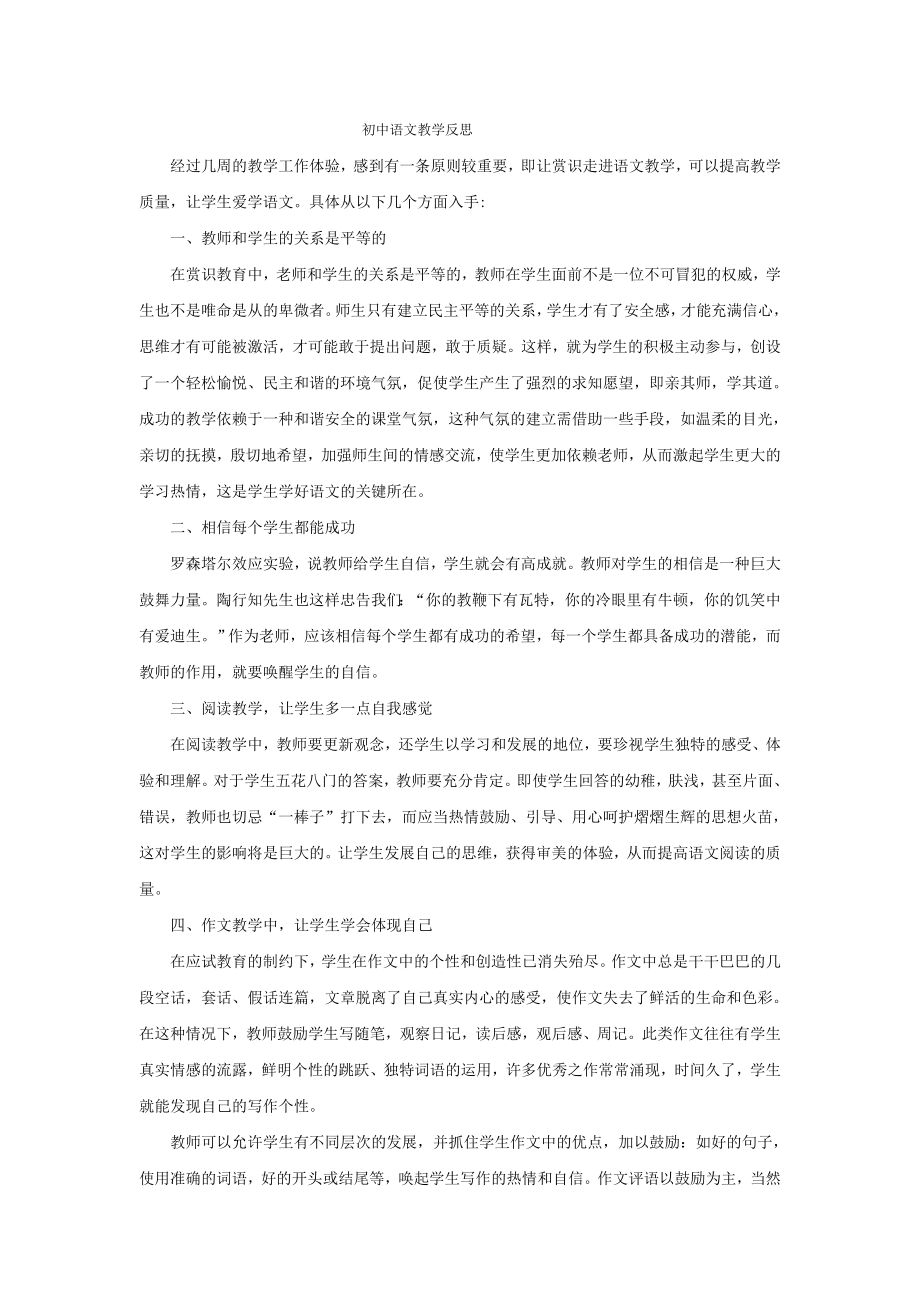 初中语文教学反思1_第1页