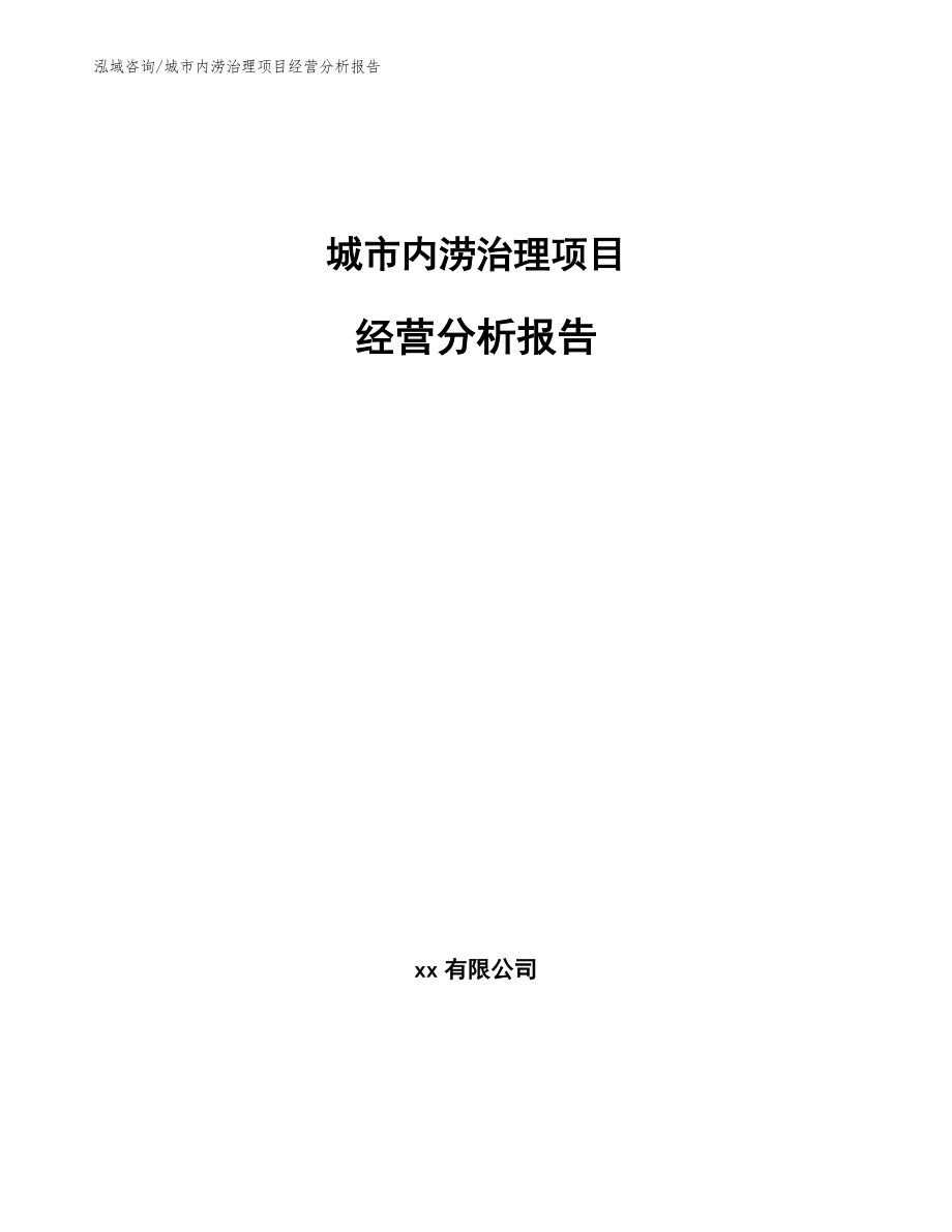 城市内涝治理项目经营分析报告（模板范文）_第1页