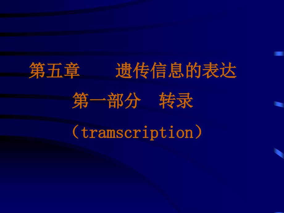 5第五章遗传信息的表达1_第1页