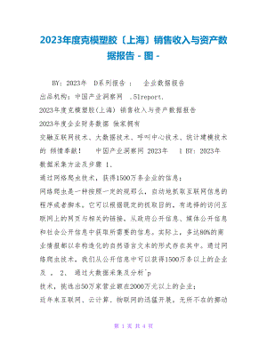 2023年度克模塑胶（上海）有限公司销售收入与资产数据报告