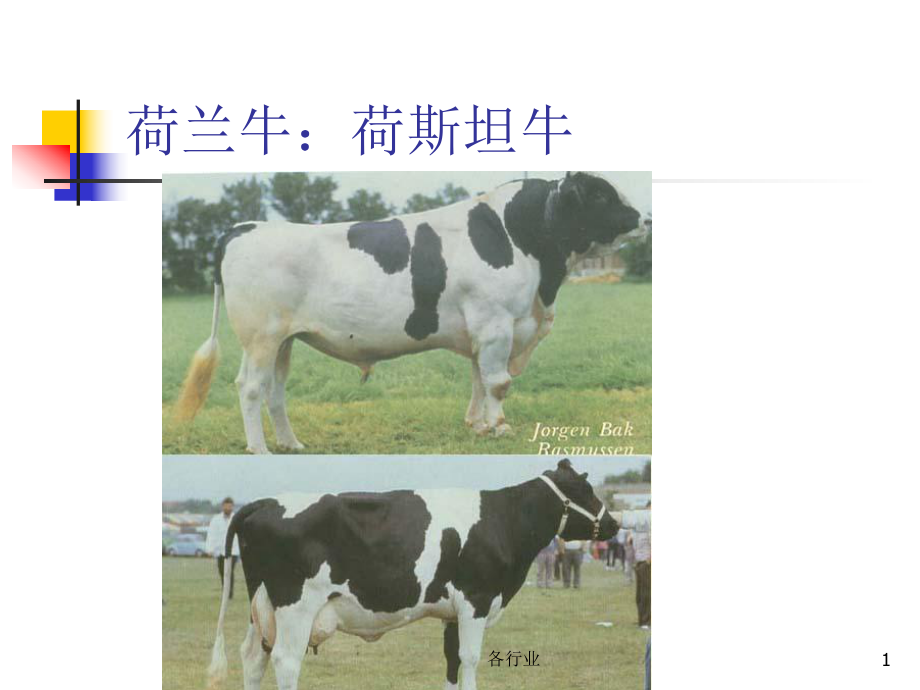 乳用牛及乳肉兼用牛的品种【稻谷书屋】_第1页