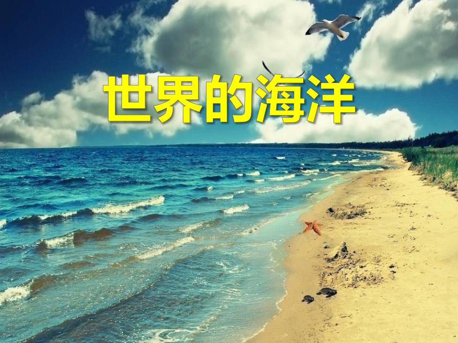 《世界的海洋》课件_第1页