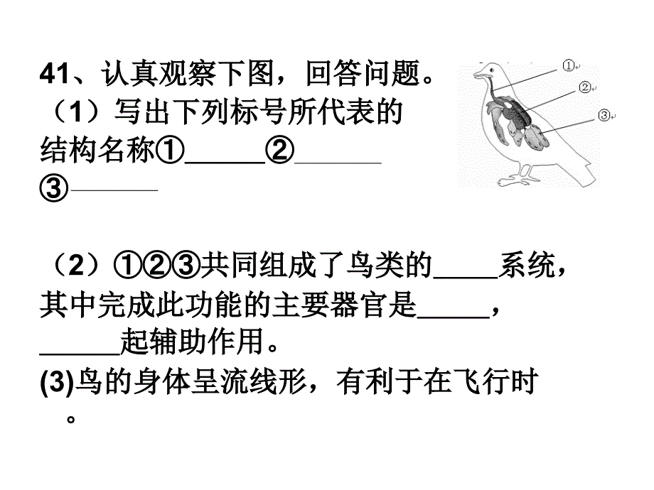 期中考试试卷高频错题_第1页