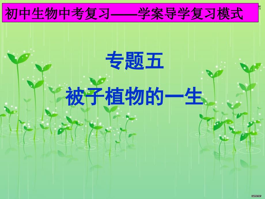 新人教版中考生物专题复习：被子植物的一生_第1页