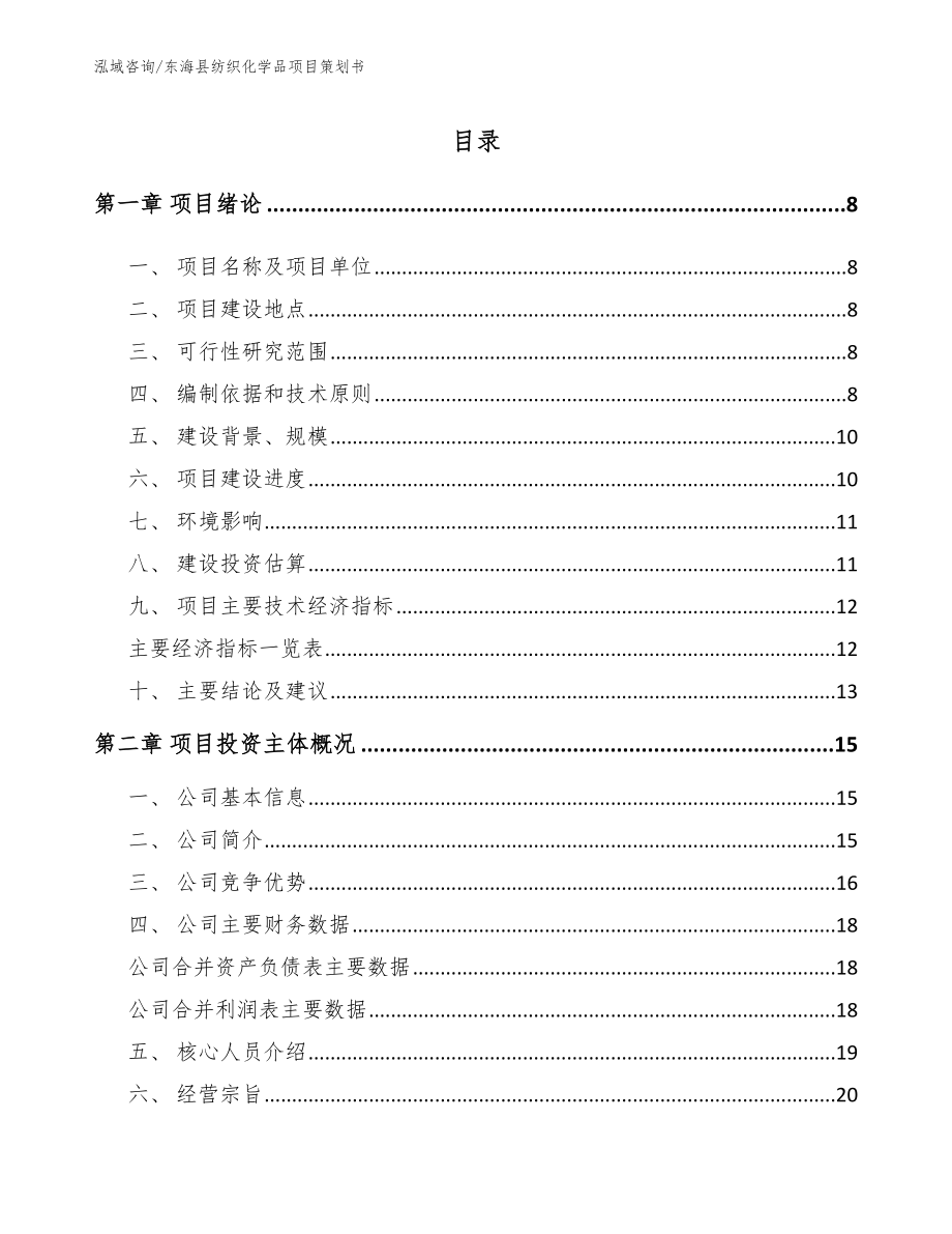 东海县纺织化学品项目策划书_第1页
