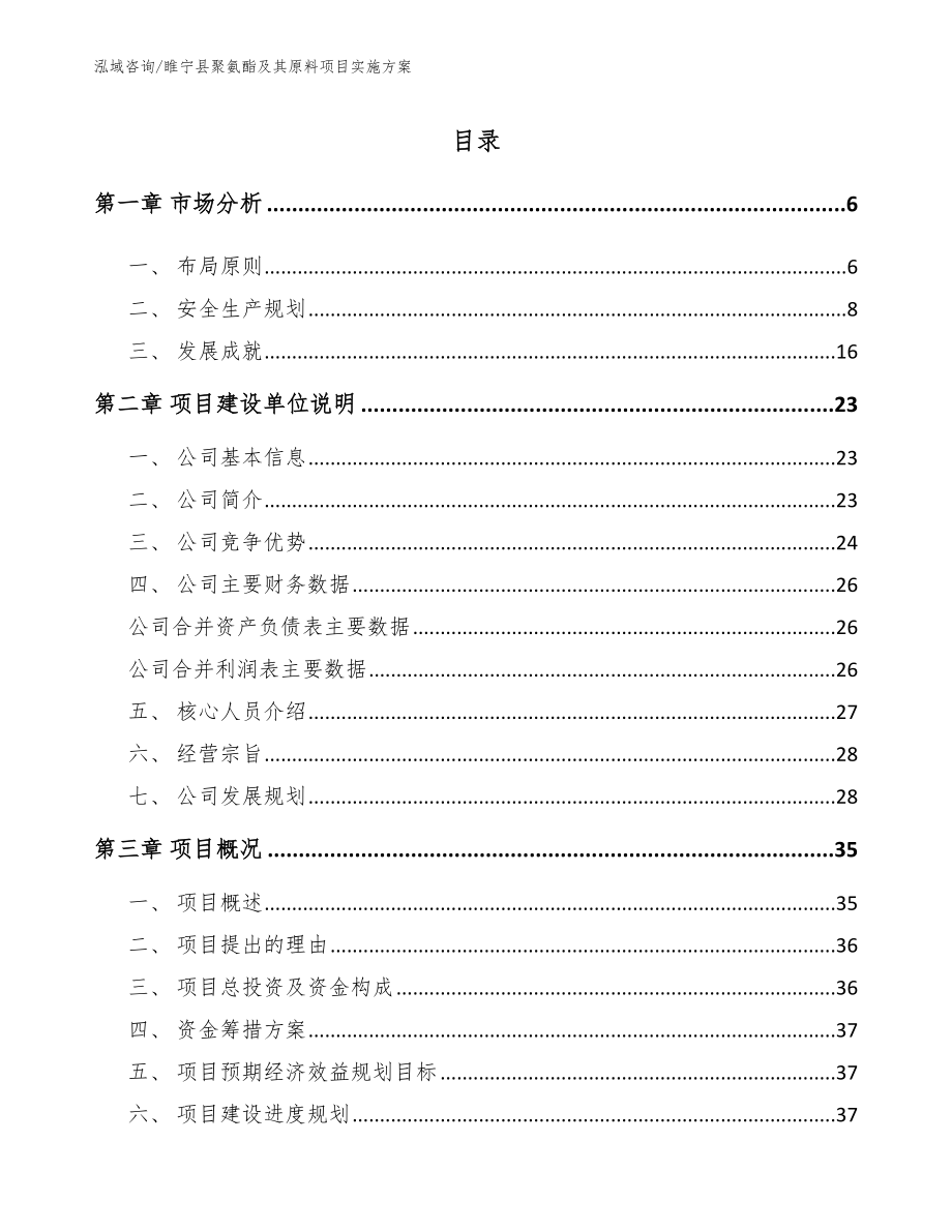 睢宁县聚氨酯及其原料项目实施方案_参考模板_第1页