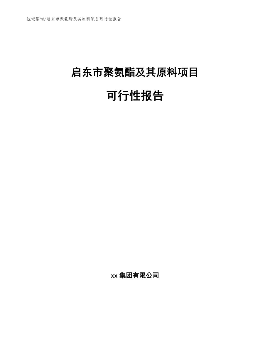 启东市聚氨酯及其原料项目可行性报告参考范文_第1页