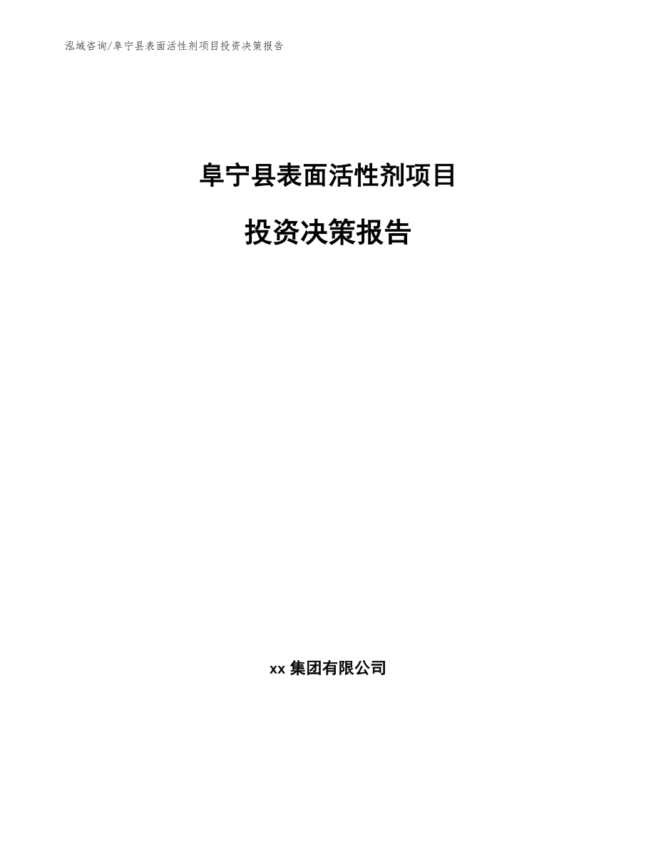 阜宁县表面活性剂项目投资决策报告模板范文_第1页