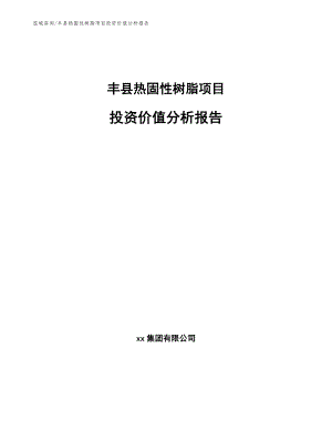 丰县热固性树脂项目投资价值分析报告模板