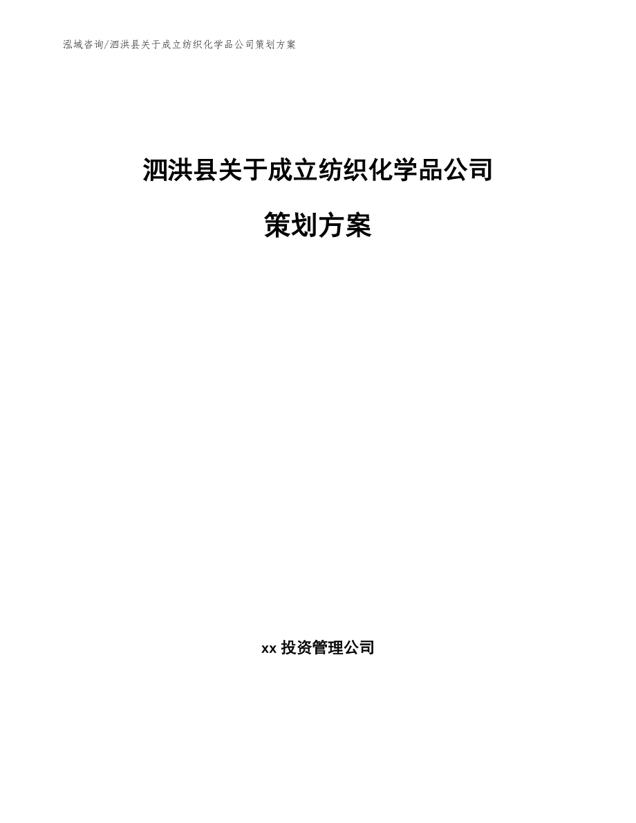 泗洪县关于成立纺织化学品公司策划方案模板_第1页