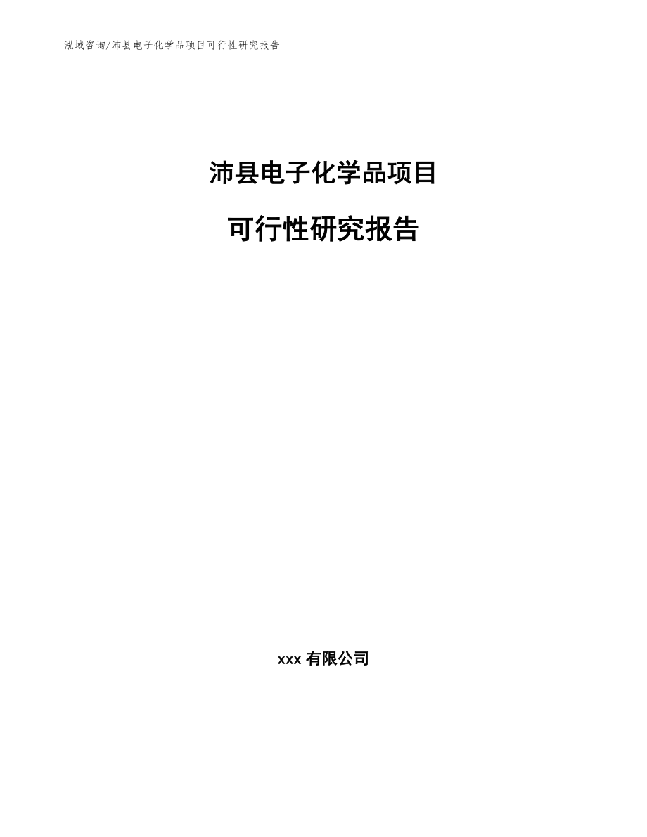 沛县电子化学品项目可行性研究报告_范文模板_第1页