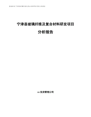 宁津县玻璃纤维及复合材料研发项目分析报告（范文参考）