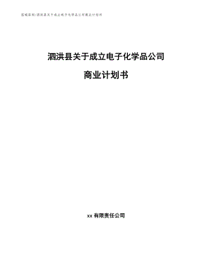 泗洪县关于成立电子化学品公司商业计划书【范文模板】