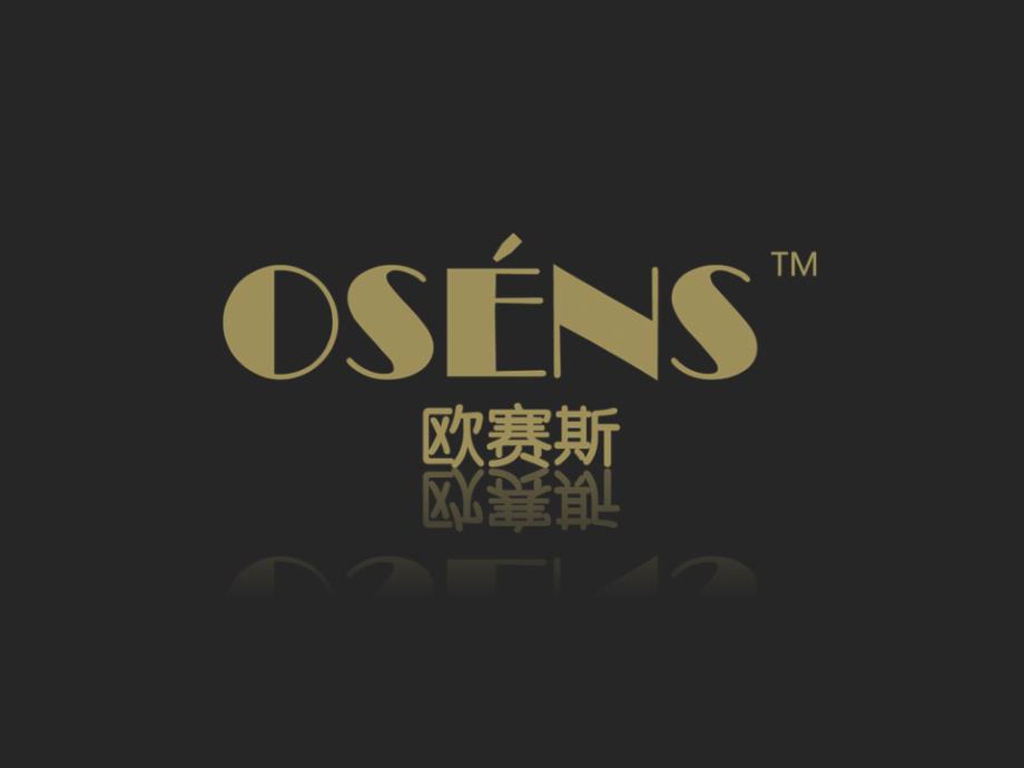 欧赛斯Quest网络整合营销提案_第1页