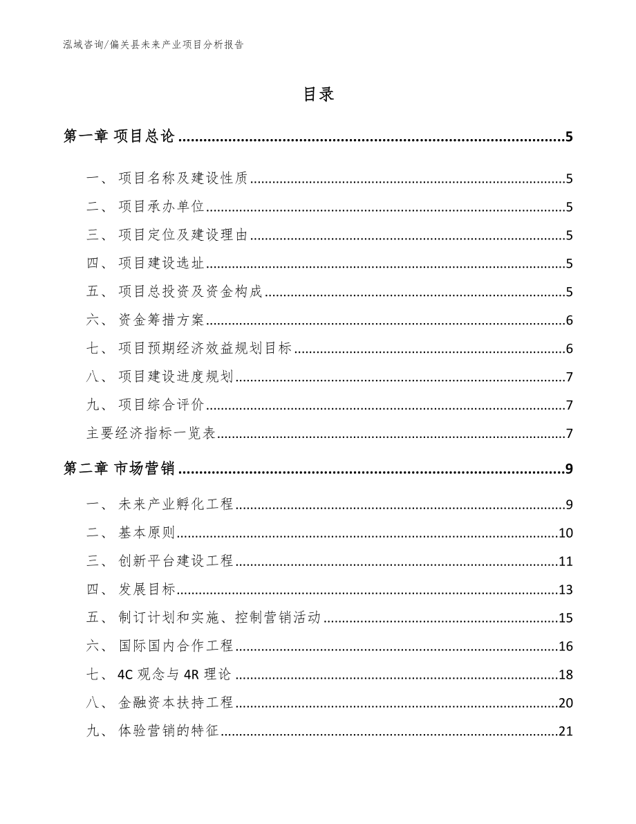 偏关县未来产业项目分析报告_第1页