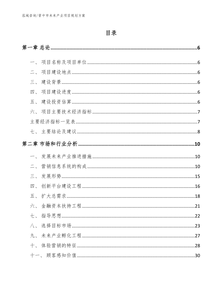 晋中市未来产业项目规划方案（模板）_第1页