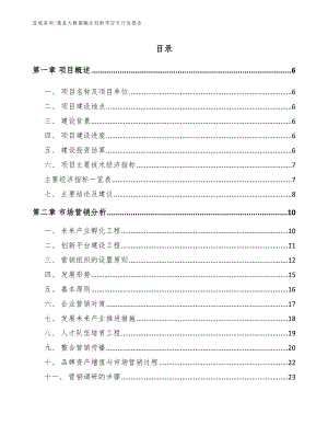 蒲县大数据融合创新项目可行性报告