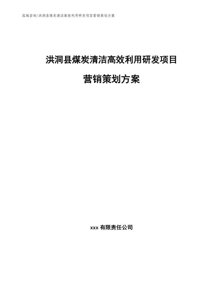 洪洞县煤炭清洁高效利用研发项目营销策划方案_模板_第1页