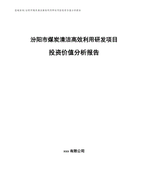 汾阳市煤炭清洁高效利用研发项目投资价值分析报告_参考模板
