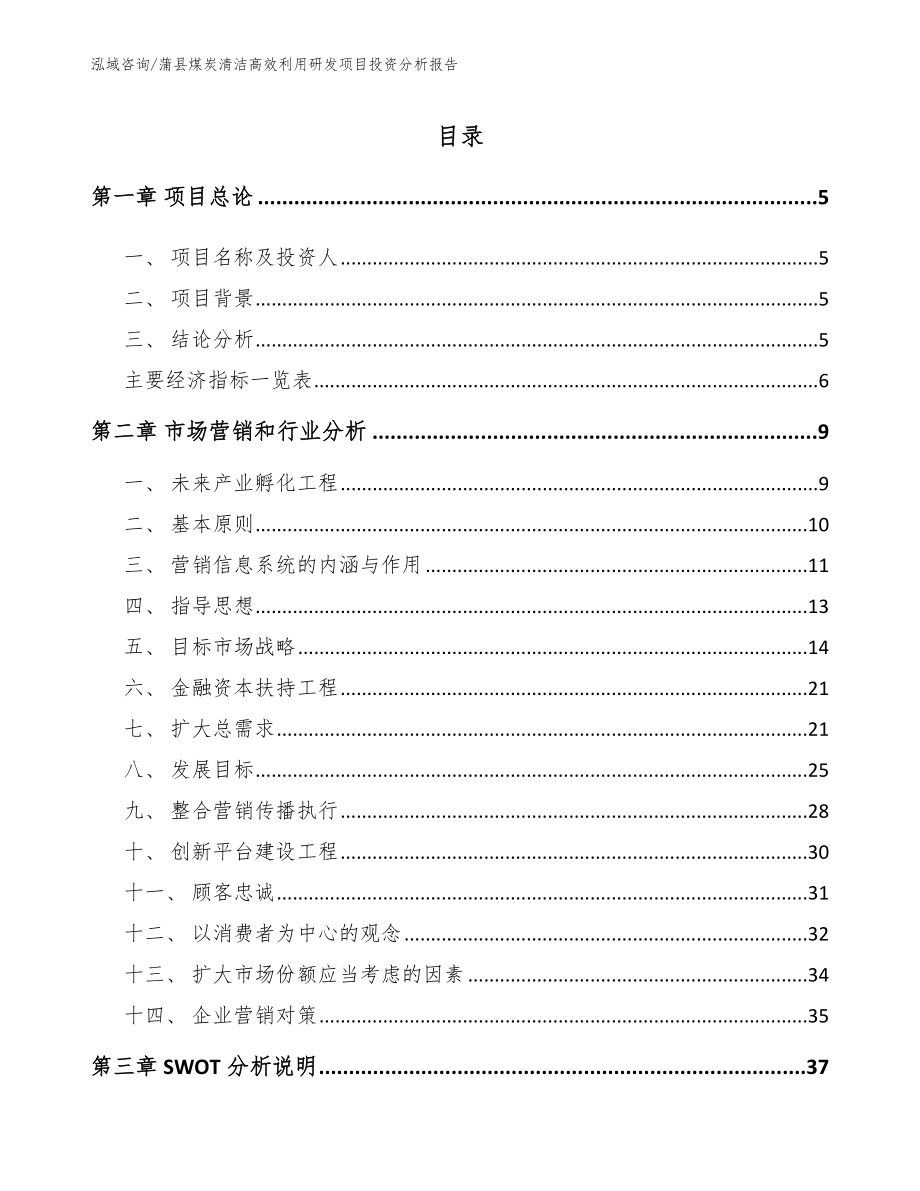 蒲县煤炭清洁高效利用研发项目投资分析报告范文_第1页
