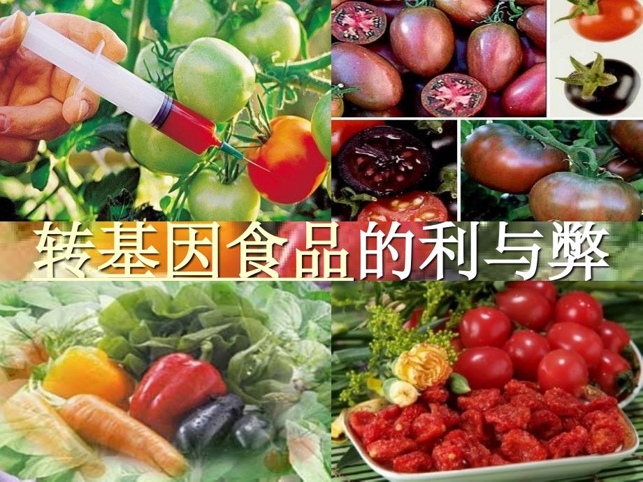 转基因食品的利与弊_第1页