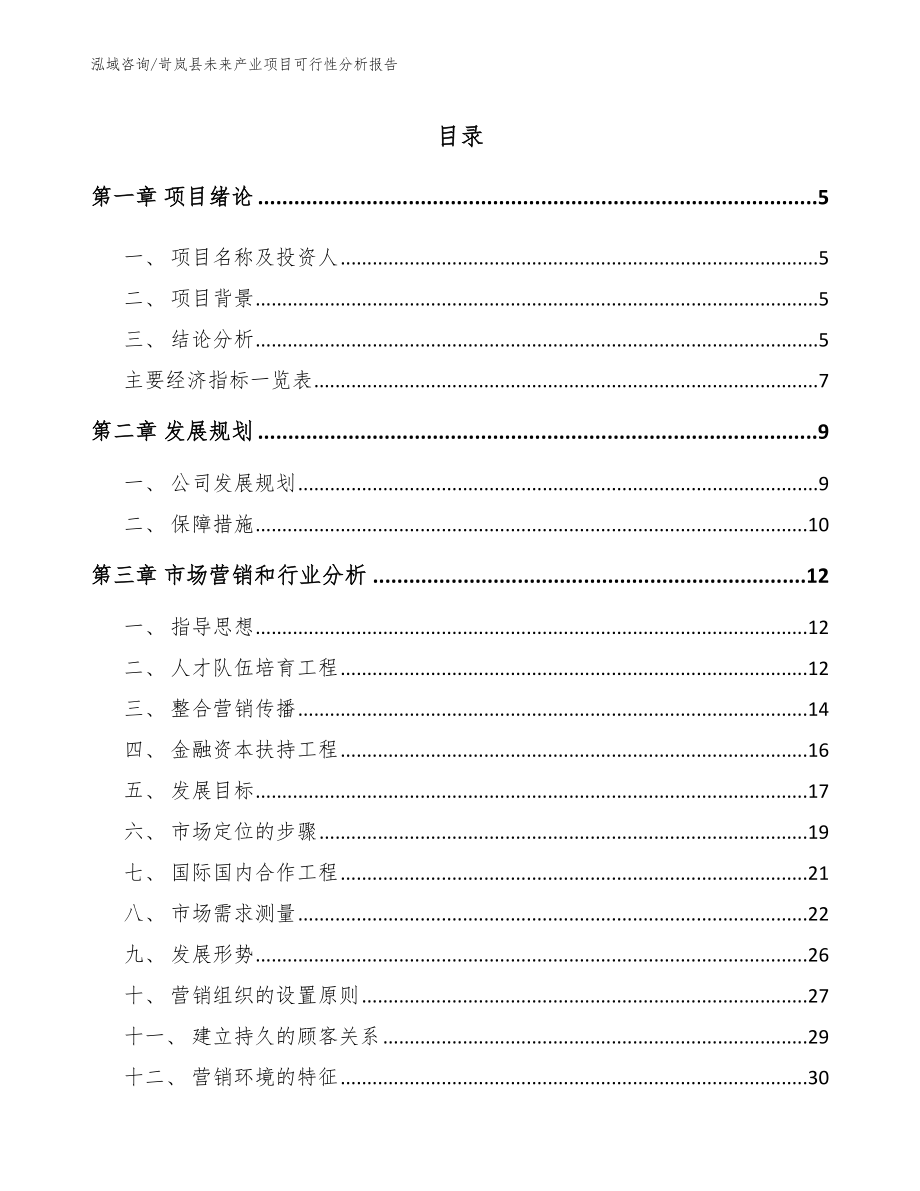 岢岚县未来产业项目可行性分析报告_第1页