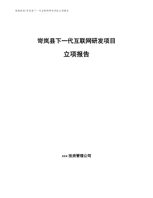 岢岚县下一代互联网研发项目立项报告