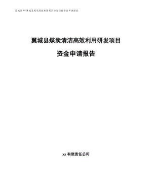 翼城县煤炭清洁高效利用研发项目资金申请报告【模板】